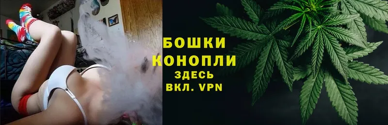 МАРИХУАНА White Widow  как найти наркотики  Северская 